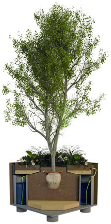 ClimateBoxx – selbstversorgender Pflanztrog mit integriertem Wasservorrat