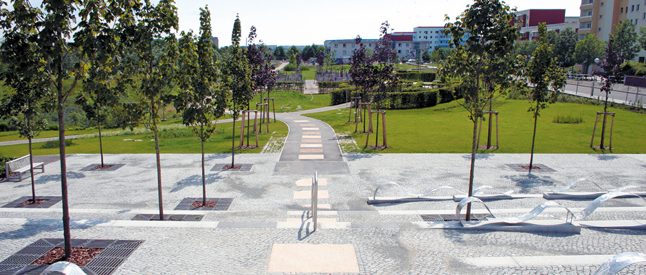 Parkanlage mit gepflastertem Platz, Baumreihe und geschwungenen Sitzbänken, Weg führt zu grünen Wiesen und Gebäuden im Hintergrund.