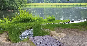Kleiner Bach fließt zu einem See, umgeben von Bäumen und Gras, im Vordergrund ein Flächenrost.