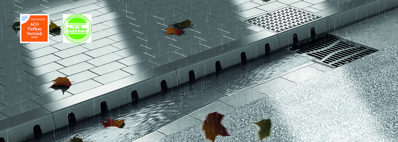 Rendering eines Gehwegs mit Bordstein bei Regen, umgeben von fallenden Herbstblättern, mit Linien- und Punktentwässerung