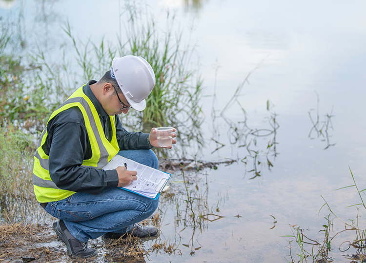 AdobeStock_44415282@Otto Durst-Wasserschutzgebiet