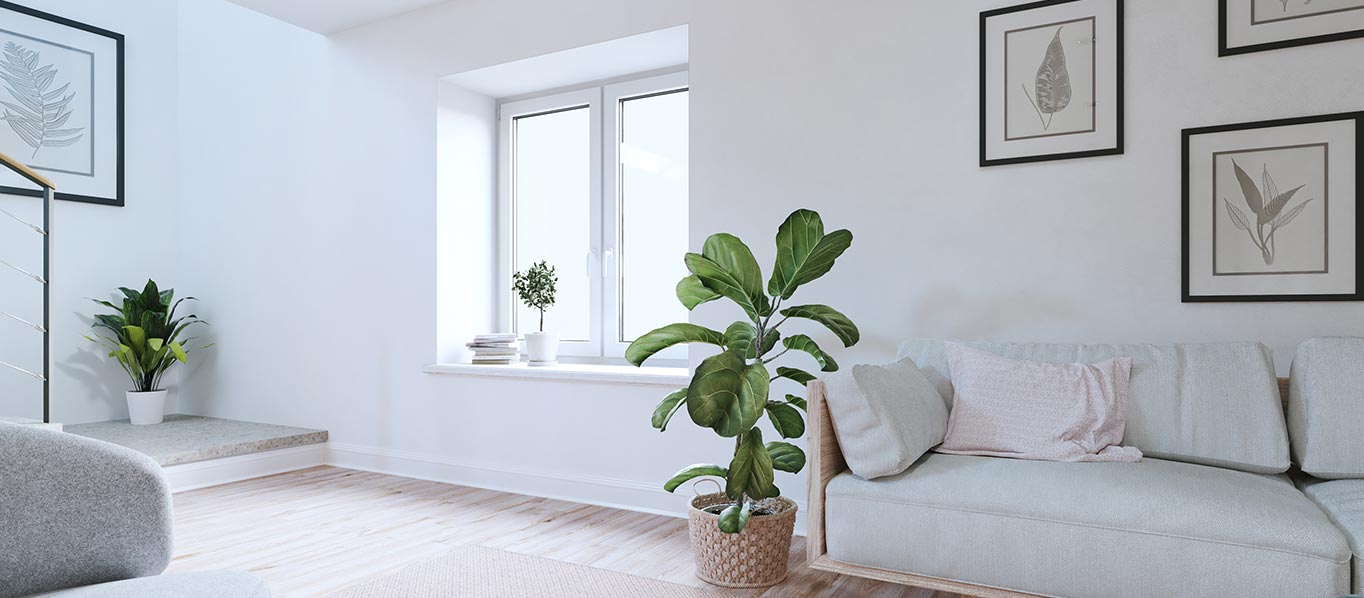 Heller, moderner Kellerraum mit grauem Sofa, grünen Zimmerpflanzen, Holzfußboden und minimalistischer Wanddekoration.