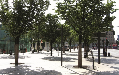 Viele Stadtbäume können den widrigen Standortbedingungen, insbesondere der hohen Bodenverdichtung, zunehmenden Schadstoffemissionen und dem Tausalzeintrag im Winter kaum etwas entgegensetzen.