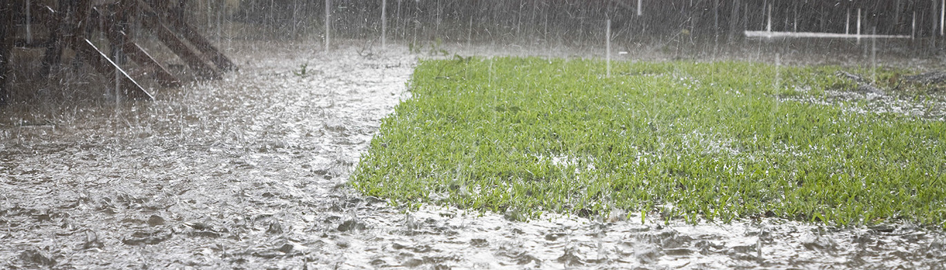 Starkregen fällt auf eine teilweise überflutete Wiese mit grünem Gras.