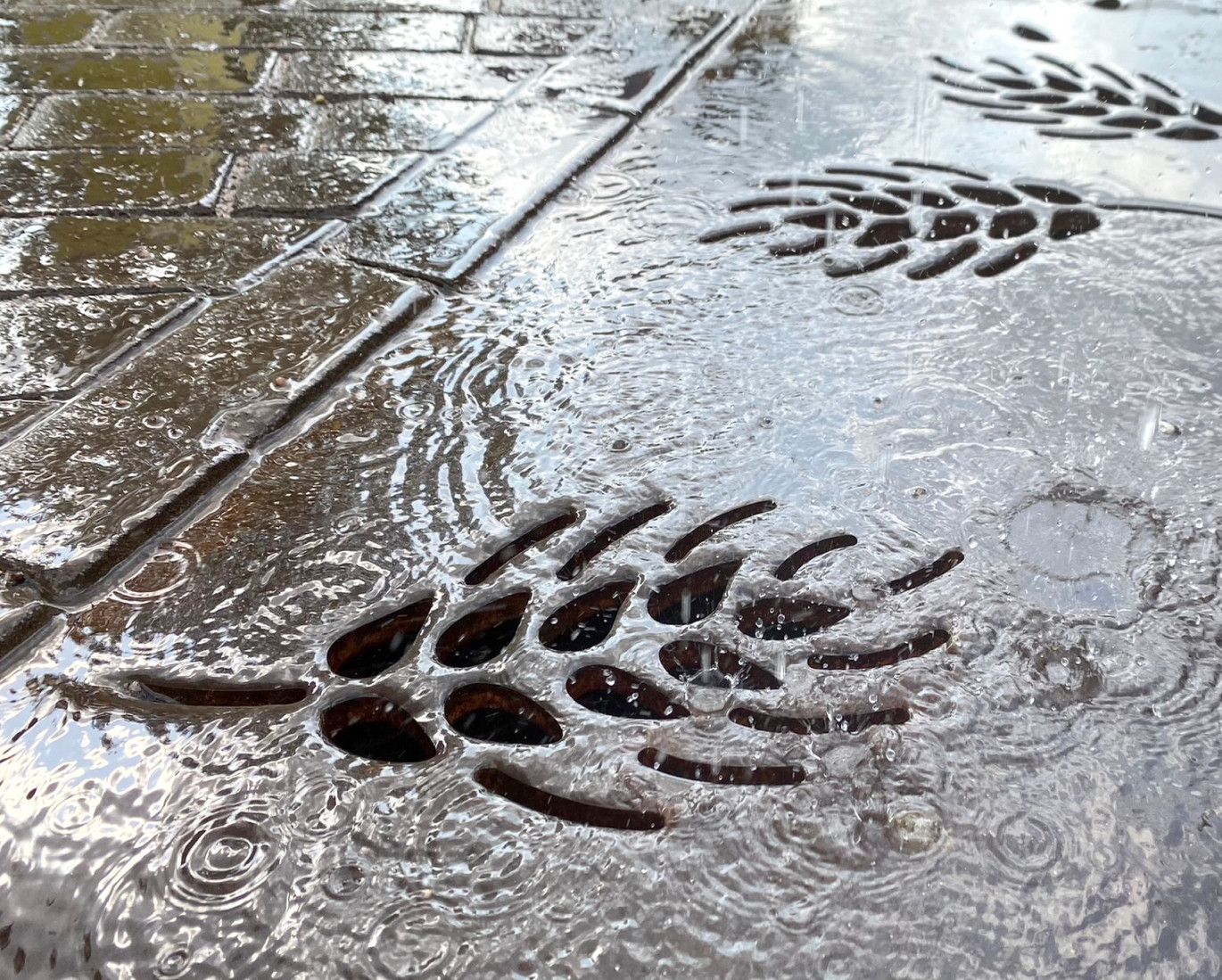 Entwässerungsrinne sammelt Regenwasser und leitet es in eine Zisterne.