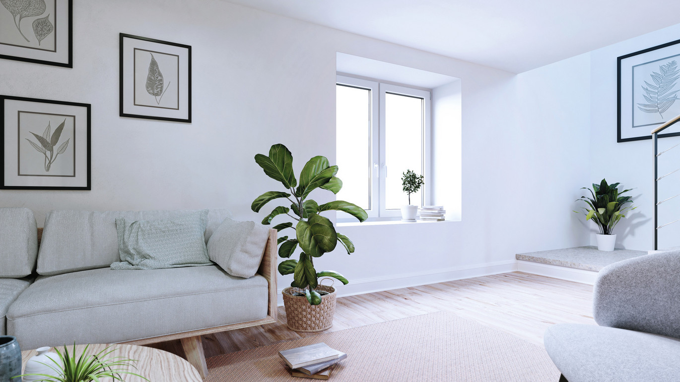 Heller, moderner Kellerraum mit grauem Sofa, grünen Zimmerpflanzen, Holzfußboden und minimalistischer Wanddekoration.
