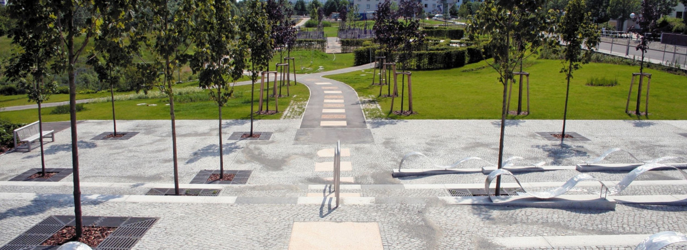 Bäume erhöhen die Luftfeuchtigkeit, senken die Temperaturen und reduzieren den CO2-Gehalt der Luft.