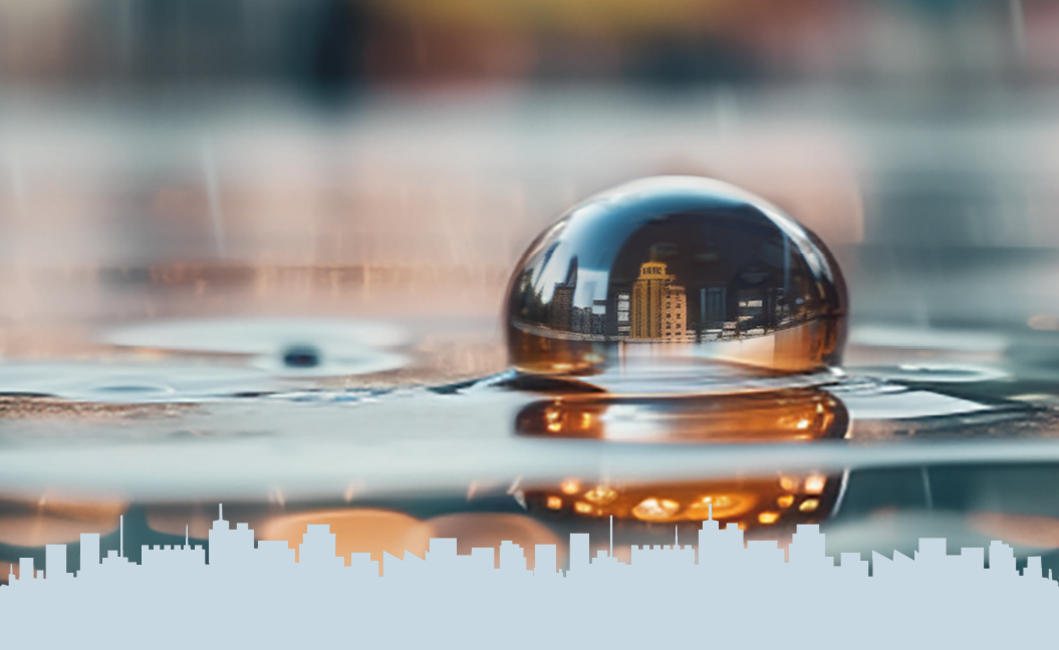 Keyvisual-regenwelten-2024-ACO