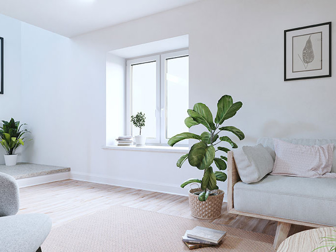 Heller, moderner Kellerraum mit grauem Sofa, grünen Zimmerpflanzen, Holzfußboden und minimalistischer Wanddekoration.