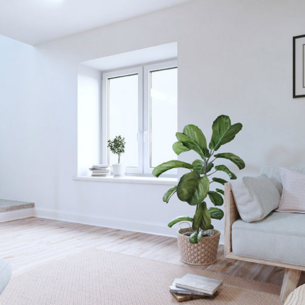 Heller, moderner Kellerraum mit grauem Sofa, grünen Zimmerpflanzen, Holzfußboden und minimalistischer Wanddekoration.