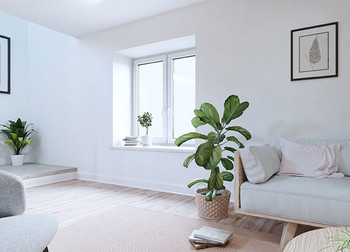 Heller, moderner Kellerraum mit grauem Sofa, grünen Zimmerpflanzen, Holzfußboden und minimalistischer Wanddekoration.