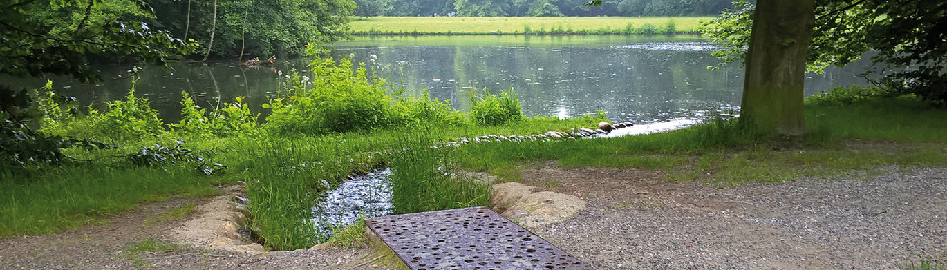 Kleiner Bach fließt zu einem See, umgeben von Bäumen und Gras, im Vordergrund ein Flächenrost.