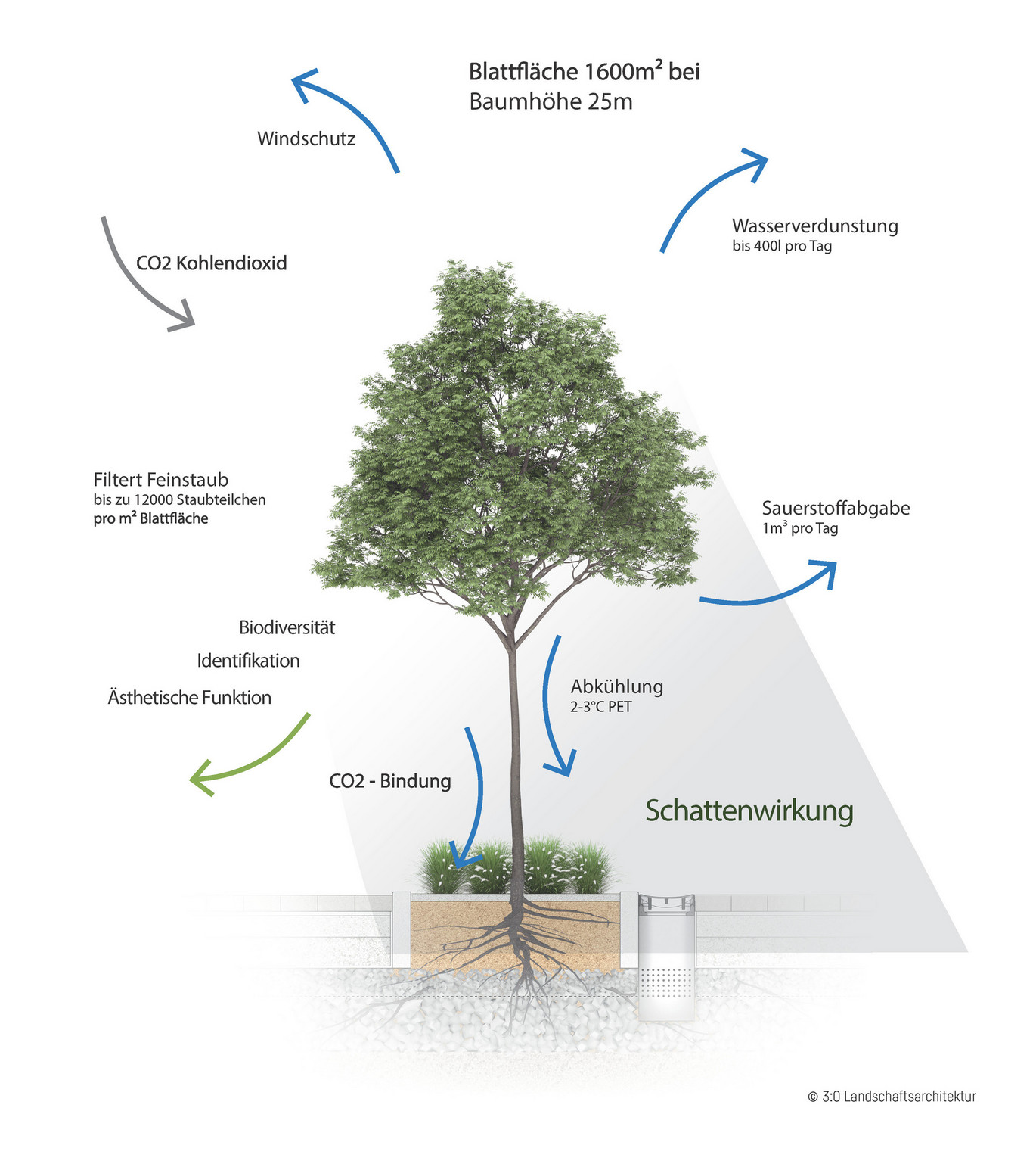 Darstellung- C  3zu0 Leistungen Baum 2020