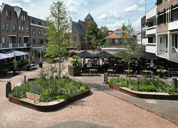 Referenz-raalte-niederlande-ACO 721x517-teaser