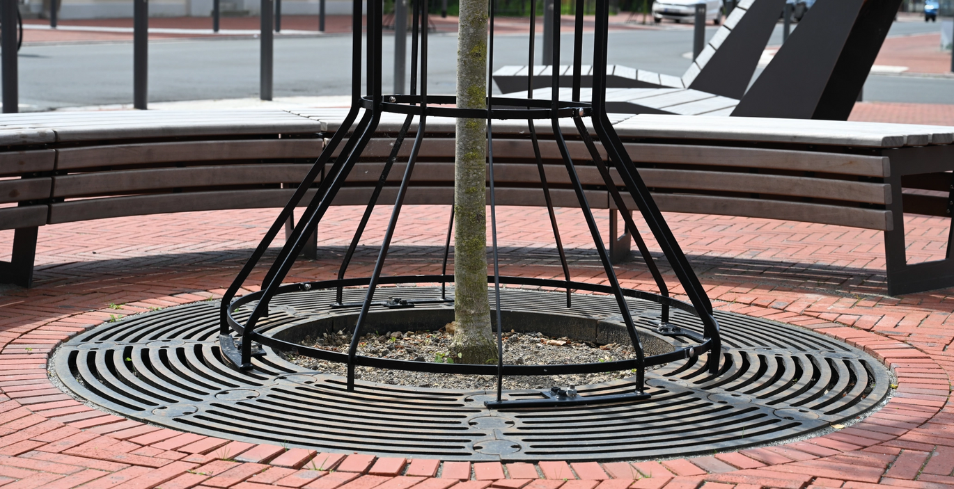 Junger Baum mit Baumschutzgitter und -rost auf innerstädtischem Platz