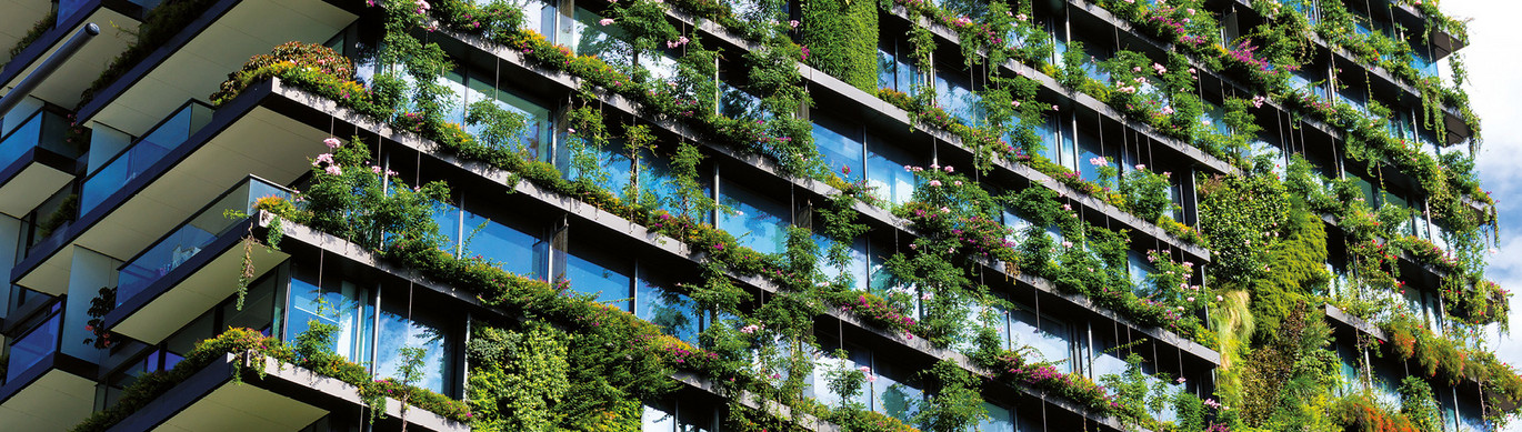 Fassadenbegrünung als ein Baustein im Klimawandel: Im Winter mit dämmender Funktion. Im Sommer mit kühlender Funktion und als Schattenspender.