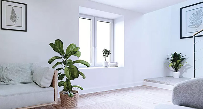Kellerfenster in Großformaten