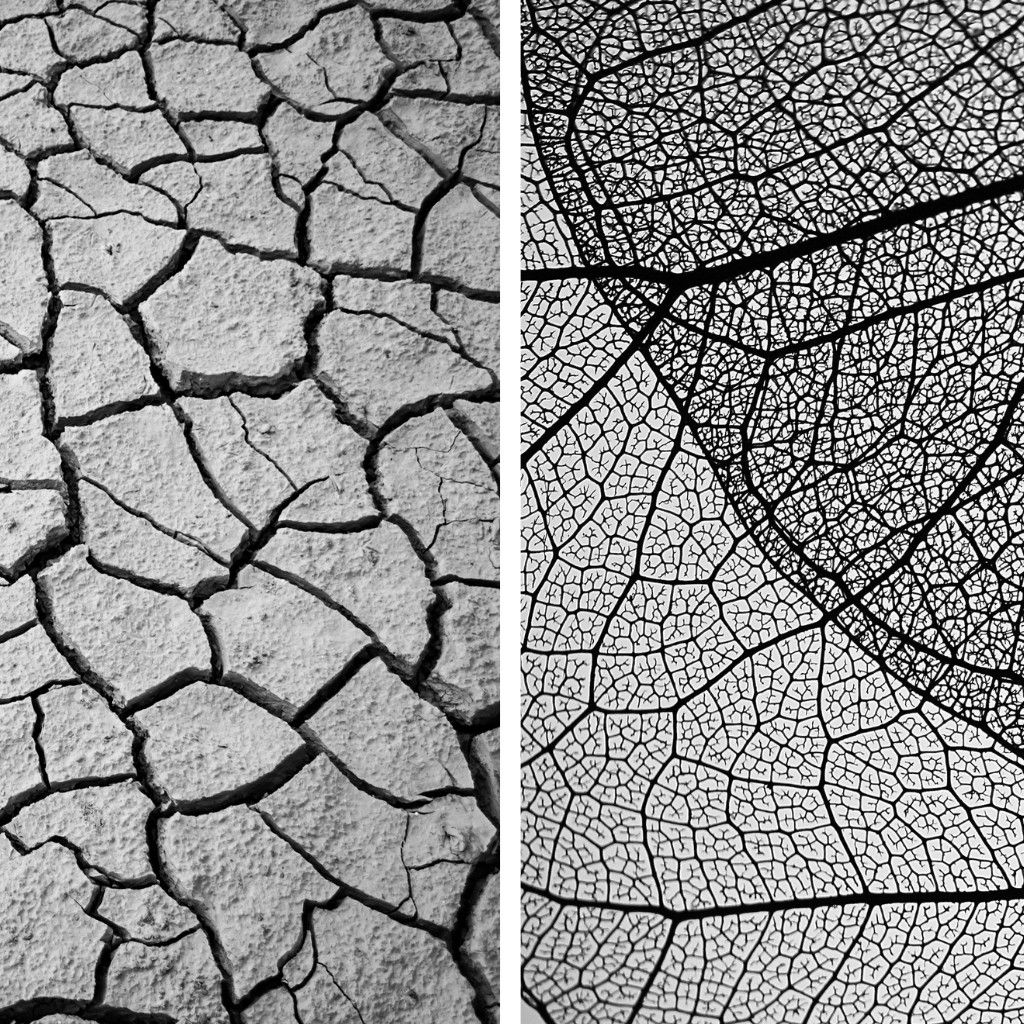 Voronoi Diagramm
