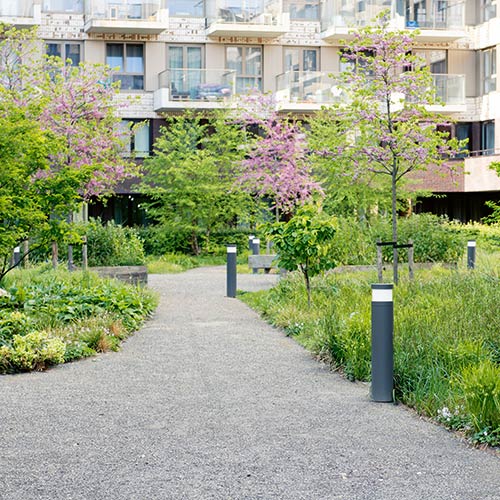 Campus Lieven